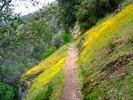 photo thumbnail #12