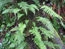 photo thumbnail #14