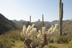 photo thumbnail #3