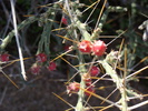 photo thumbnail #7
