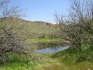 photo thumbnail #4
