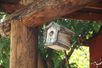 photo thumbnail #15