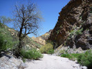 photo thumbnail #9