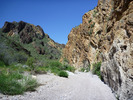 photo thumbnail #12
