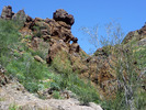 photo thumbnail #13
