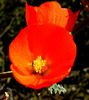 photo thumbnail #14