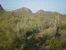 photo thumbnail #11