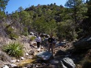 photo thumbnail #7
