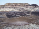 photo thumbnail #11