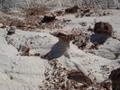photo thumbnail #12