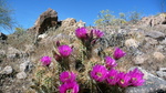 photo thumbnail #5