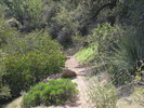 photo thumbnail #2