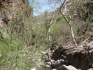 photo thumbnail #6