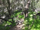 photo thumbnail #7
