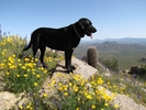 photo thumbnail #6