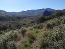 photo thumbnail #1