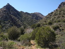 photo thumbnail #8