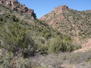 photo thumbnail #9