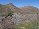 photo thumbnail #11