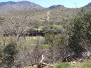 photo thumbnail #13