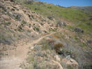 photo thumbnail #6