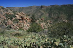 photo thumbnail #11