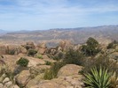 photo thumbnail #11