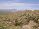 photo thumbnail #3