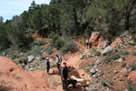 photo thumbnail #2