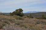 photo thumbnail #7