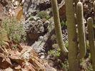 photo thumbnail #11