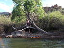 photo thumbnail #2