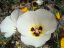 photo thumbnail #11