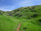 photo thumbnail #8