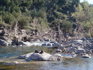 photo thumbnail #8