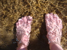 photo thumbnail #9