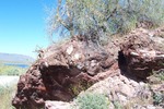 photo thumbnail #5