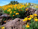 photo thumbnail #14