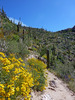 photo thumbnail #2