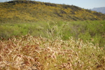 photo thumbnail #2