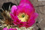 photo thumbnail #12