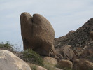 photo thumbnail #5