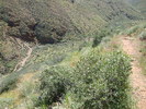 photo thumbnail #9
