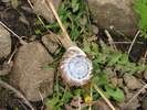 photo thumbnail #8