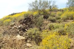 photo thumbnail #3