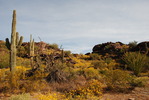 photo thumbnail #6