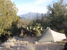 photo thumbnail #6