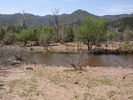 photo thumbnail #8