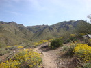 photo thumbnail #1