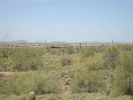 photo thumbnail #13
